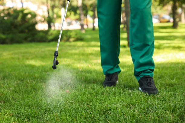 Professional Pest Control in Staunton, VA