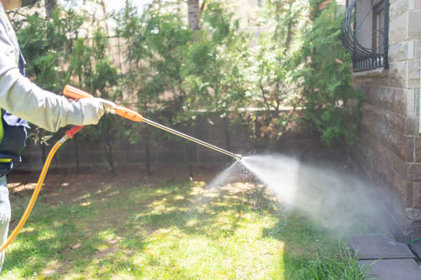Best Commercial Pest Control Services  in Staunton, VA
